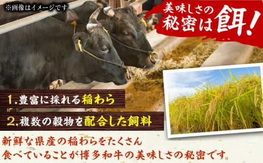 【全12回定期便】博多和牛100％！贅沢本格 手ごね ハンバーグ 10個 牛肉 ハンバーグ お惣菜 お弁当 お歳暮 お中元 贈答用 サーロイン 赤身 父の日 母の日 敬老の日 広川町 / 久田精肉店株式会社 [AFBV048]