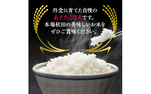 新米 米 お米 《定期便11ヶ月》【白米】秋田県産 あきたこまち あきた種梅産こまち 杜の雫 こだわりの大粒 9kg×11回 合計99kg