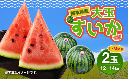  熊本県産 大玉 すいか 2玉 約12～14kg L・M階級 