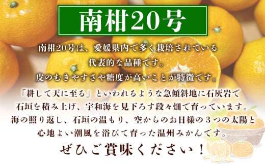 先行予約 ＜夕焼け山農園 愛媛県西予市産 温州みかん 家庭用 約10kg（南柑20号）＞果物 フルーツ ミカン 蜜柑 柑橘 なんかん 訳あり うんしゅうみかん ウンシュウ 特産品 愛媛県 西予市 【常温】