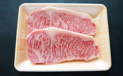 【6回定期便】A5等級飛騨牛サーロインステーキ用600g 和牛 BBQ 霜降り 岐阜市/小川ミート [ANAJ008]