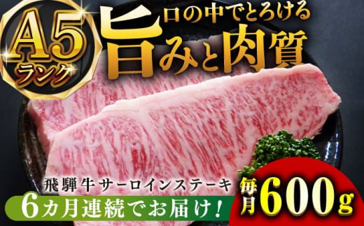 【6回定期便】A5等級飛騨牛サーロインステーキ用600g 和牛 BBQ 霜降り 岐阜市/小川ミート [ANAJ008]