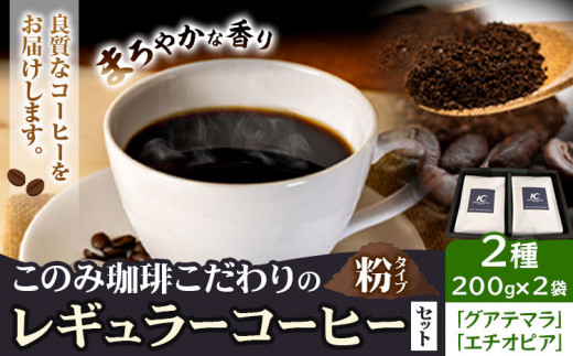 コーヒー 珈琲 珈琲粉 レギュラーコーヒー 粉タイプ セット 2種 このみ珈琲《30日以内に発送予定(土日祝除く)》ギフト