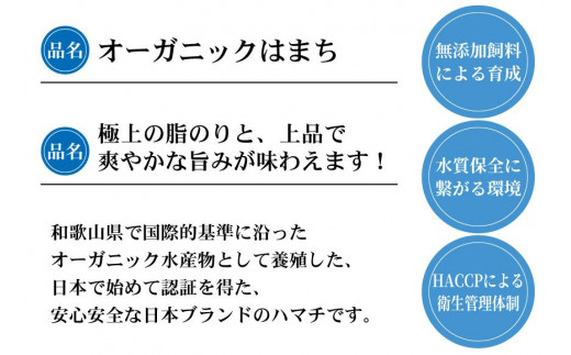 期間限定 オーガニック はまち ロイン 皮付き 約 1.8kg くら寿司 オリジナルブランド