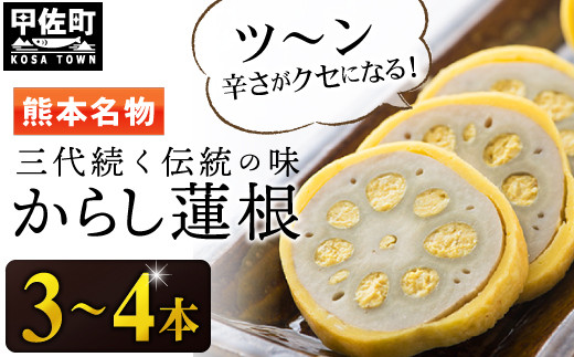 【3代続く伝統の味】ピリッとうまか！熊本からし蓮根（3本～4本）- からし蓮根 辛子蓮根 熊本名物 冷蔵 惣菜 おつまみ 手作り 人気 熊本県 甲佐町