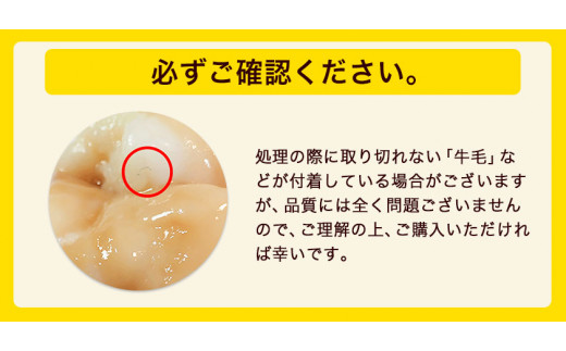 特撰博多もつ鍋 【あごだし味噌仕立て】 4～5人前 500g  《30日以内に出荷予定(土日祝除く)》