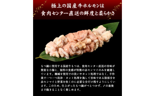 特撰博多もつ鍋 【あごだし味噌仕立て】 4～5人前 500g  《30日以内に出荷予定(土日祝除く)》