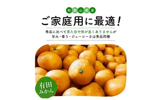 ご家庭用 濃厚完熟有田 みかん 約5kg【先行予約  2025年1月発送予定 】 農家直送 訳あり【MS31-3】