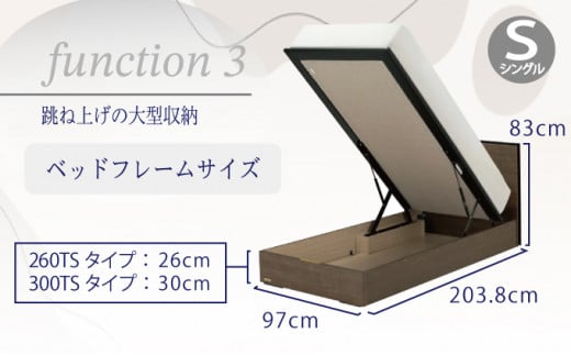 フランスベッド BG-001（跳ね上げ収納タイプ 260mm）シングル【ベッドフレームのみ】J-371