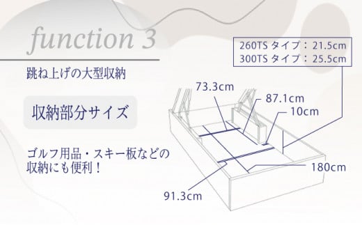 フランスベッド BG-001（跳ね上げ収納タイプ 260mm）シングル【ベッドフレームのみ】J-371