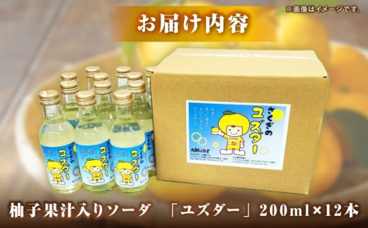 サイダー 贈答 ギフト 特産品 産地直送 取り寄せ お取り寄せ 送料無料 広島 三次 10000円