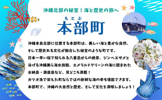 HISふるさと納税クーポン（沖縄県本部町）15万円分 観光 宿泊 宿泊券 トラベル 旅行 クーポン リゾート ホテル 旅館 ファミリー ペア ダイビング 沖縄 本部町 ビーチ やんばる オリオン ゴルフ 美ら海 水族館