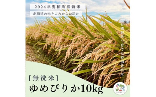 A256【令和６年産】ゆめぴりか（無洗米）特Aランク 10kg 北海道 鷹栖町 たかすのおむすび 米 コメ ご飯 無洗米 お米 ゆめぴりか