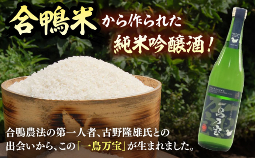 【純米酒】 一鳥万宝 720ml（甘口）▼金賞 受賞 人気 酒 甘口 