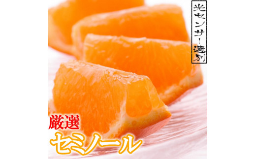 ＜6月より発送＞厳選セミノールオレンジ2.5kg+75g（傷み補償分）【春みかん】【有田産】【光センサー食べ頃出荷】【ikd073A】