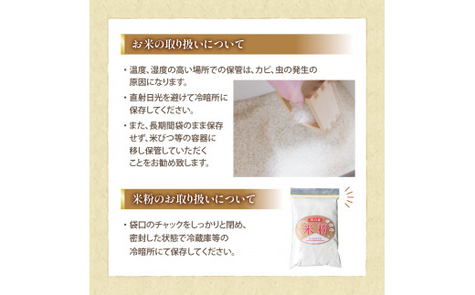 令和6年産 新米 キヌヒカリ 定期便 10kg 全6回 白米 5㎏ × 2袋 6