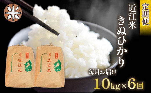令和6年産 新米 キヌヒカリ 定期便 10kg 全6回 白米 5㎏ × 2袋 6
