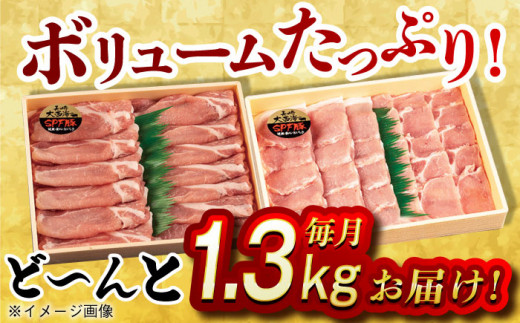 【月1回約1.3kg×3回定期便】大西海SPF豚 背ロース（焼肉＆しゃぶしゃぶ用）計3.9kg 長崎県/長崎県農協直販 [42ZZAA081] 肉 豚 ぶた ブタ ロース 焼肉 焼き肉 しゃぶしゃぶ 小分け 西海市 長崎 九州 定期便