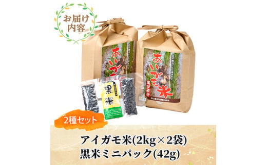 ＜数量限定＞令和6年産アイガモ米(2kg×2袋)と黒米(42g)米 白米 精米 国産 ご飯【MU015】【日之影町村おこし総合産業(株)】