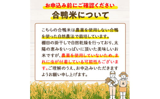 ＜数量限定＞令和6年産アイガモ米(2kg×2袋)と黒米(42g)米 白米 精米 国産 ご飯【MU015】【日之影町村おこし総合産業(株)】