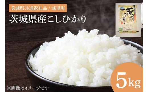 【令和6年度産 新米】茨城県産こしひかり　5kg　（茨城県共通返礼品/城里町）【お米 ごはん こしひかり おいしい 白米 茨城県産 水戸市】（IH-3049）