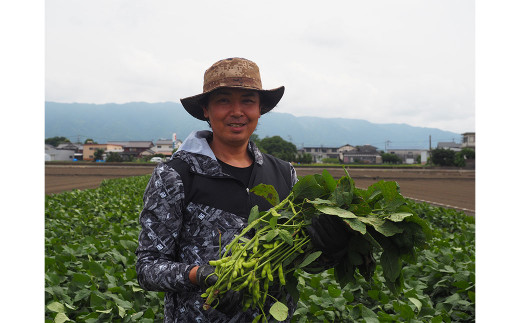 【大刀洗町産】 枝付き枝豆 2kg