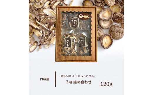 乾椎茸 干し椎茸 ｜ 椎茸 しいたけ 乾燥 干し 菌床 きのこ さんまいん 料理 味付け 山口 美祢市 美祢 特産品