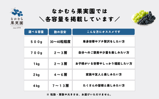 [No.5657-4019]まるごとパクッ！ナガノパープル 約4kg (7～13房)《なかむら果実園》■2024年発送■※8月中旬頃～9月下旬頃まで順次発送予定