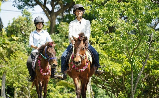 沖縄県観光スポット「東南植物楽園」入園券＜大人・中人＞【 体験 入場券 ペアチケット 大人1人 中高生(13～17歳)1人 植物園 動物ふれあい 小動物 テーマパーク 植物 1300種以上 亜熱帯 熱帯 自然 遊び あそび 癒し いやし 観光 贈答 贈り物 ギフト 沖縄 】