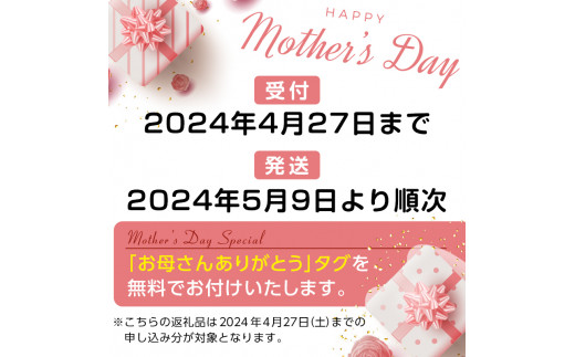 《母の日ギフト》＜紫彩＞ 胡蝶蘭 2本立ち (母の日タグ付き) 母の日 限定 ミディ胡蝶蘭 紫彩 パープル 紫 こちょうらん コチョウラン 花 鉢花 贈り物 ギフト フラワーギフト F20E-942