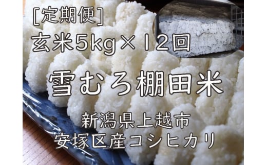 定期便 12ヶ月 雪むろ 棚田米 コシヒカリ 5kg 玄米 [定期便]毎月発送(計12回) こしひかり 米 お米 こめ おすすめ ユキノハコ 新潟 新潟県産 にいがた 上越 上越産