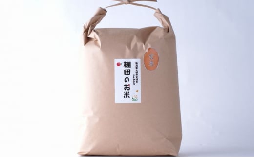 定期便 12ヶ月 雪むろ 棚田米 コシヒカリ 5kg 玄米 [定期便]毎月発送(計12回) こしひかり 米 お米 こめ おすすめ ユキノハコ 新潟 新潟県産 にいがた 上越 上越産