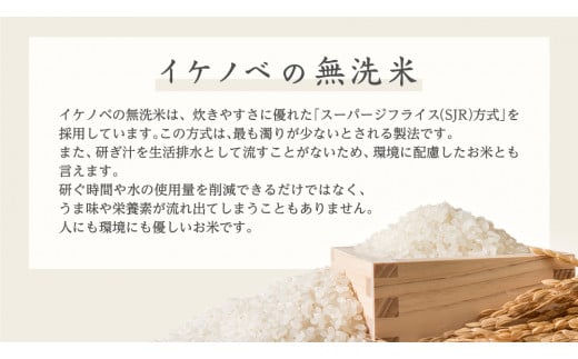 《 令和6年産 》茨城県産 無洗米 コシヒカリ 20kg  ( 5kg × 4袋 )  こしひかり 米 コメ こめ 五ツ星 高品質 白米 精米 時短 期間限定 新米