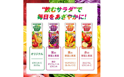 【 定期便 6ヶ月 】カゴメ 野菜生活100 アップルサラダ 200ml×48本 ジュース 野菜 果実ミックスジュース 果汁飲料 紙パック 砂糖不使用 1食分の野菜 カルシウム ビタミンA ビタミンC にんじん汁 飲料類 ドリンク 野菜ドリンク 備蓄 長期保存 防災 飲みもの