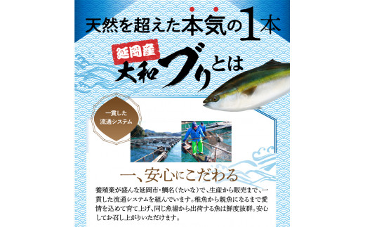 【6ヶ月定期便】大和海商 大和ブリの切り身たっぷりセット N072-YZG0139