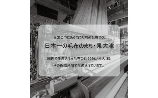 綿毛布スリーパー 2way仕様で暖か (Sサイズ) アッシュグリーン×ホワイト 毛布の町 (泉大津産) [2449]