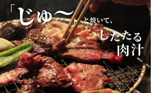 ＼お歳暮ギフト対象品／志方牛焼肉セット(500g)《 国産 牛肉 牛 国産牛 焼肉 ロース モモ お手軽 おいしい お取り寄せ グルメ 志方牛 ギフト 送料無料 》【2401A00305】