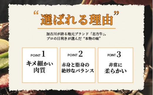 ＼お歳暮ギフト対象品／志方牛焼肉セット(500g)《 国産 牛肉 牛 国産牛 焼肉 ロース モモ お手軽 おいしい お取り寄せ グルメ 志方牛 ギフト 送料無料 》【2401A00305】