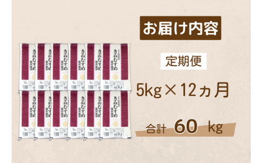 150263【令和6年産／お米定期便／12ヵ月】しまね川本 きぬむすめ 5kg (計60kg）