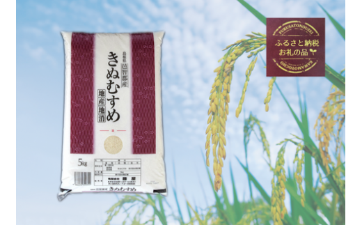 150263【令和6年産／お米定期便／12ヵ月】しまね川本 きぬむすめ 5kg (計60kg）