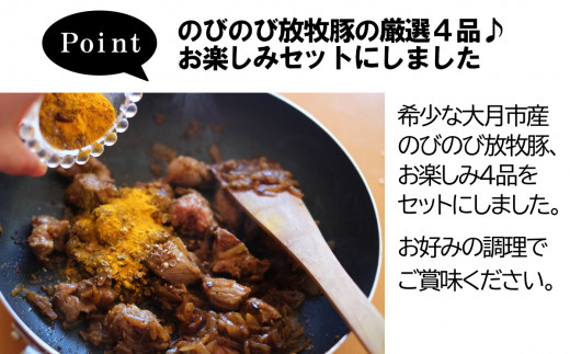 大月のびのび放牧豚【お楽しみ4品セット】肩ロース150g×2モモ300g切落し300gひき肉500g