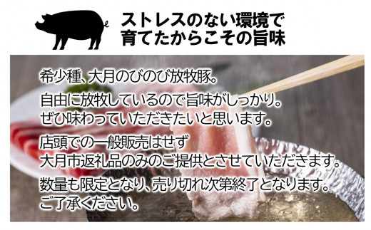 大月のびのび放牧豚【お楽しみ4品セット】肩ロース150g×2モモ300g切落し300gひき肉500g