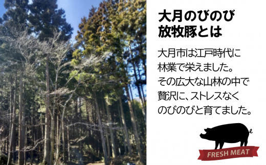 大月のびのび放牧豚【お楽しみ4品セット】肩ロース150g×2モモ300g切落し300gひき肉500g