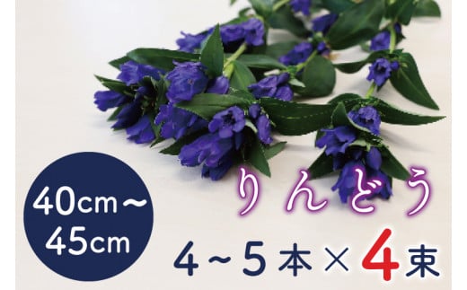 ＼延長決定！10日まで／ 生花 りんどう（贈答用）40cm～45cm　4～5本×4束 (DF004-1)