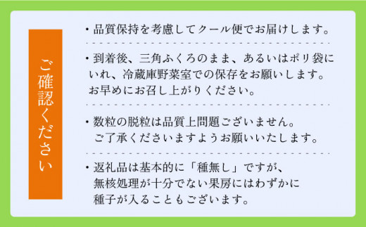 シャインマスカット マスカット 長崎県産 長与町 産地直送 果物 フルーツ 甘い 完熟 季節限定 先行予約