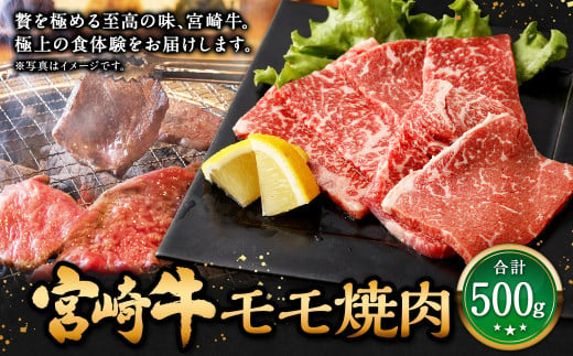 ＜宮崎牛モモ焼肉 500g＞