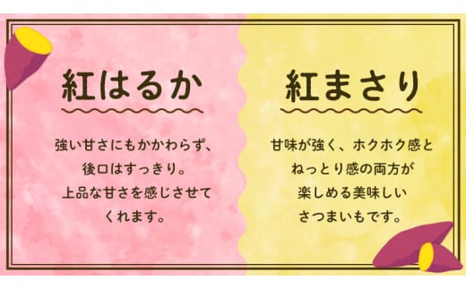 【 先行予約 】茨城県産 紅はるか／紅まさり 食べ比べ 合計 5kg サイズS～2L さつまいも サツマイモ 紅はるか 紅まさり