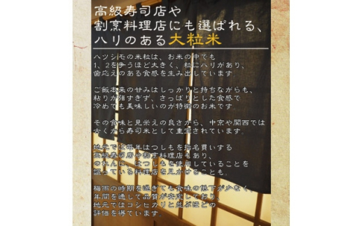 [美濃の希少種]無洗米 はつしも 10kg(5kg×2袋) 岐阜県産 令和4年産【1428680】