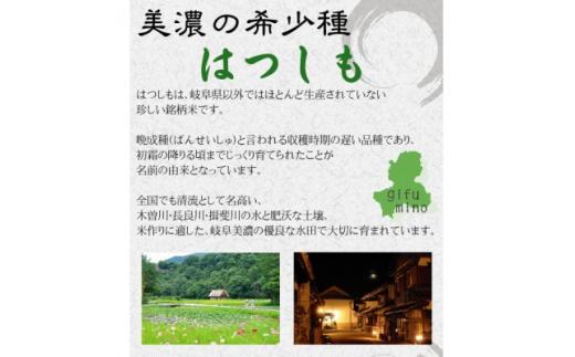 [美濃の希少種]無洗米 はつしも 10kg(5kg×2袋) 岐阜県産 令和4年産【1428680】