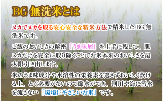 【令和6年産】【定期便10回】 BG無洗米 みずかがみ 計100kg（10kg × 10回）[I-00402]